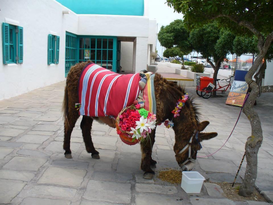 Mykonos Holidays @ Club Mykonos Langebaan Ngoại thất bức ảnh